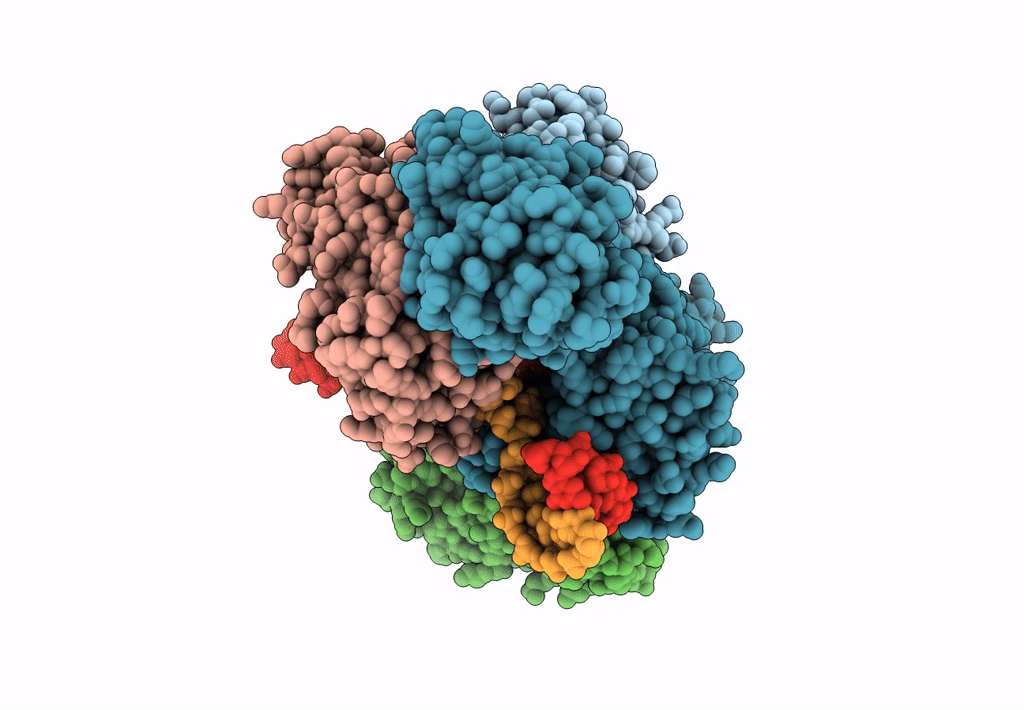 7XPL image