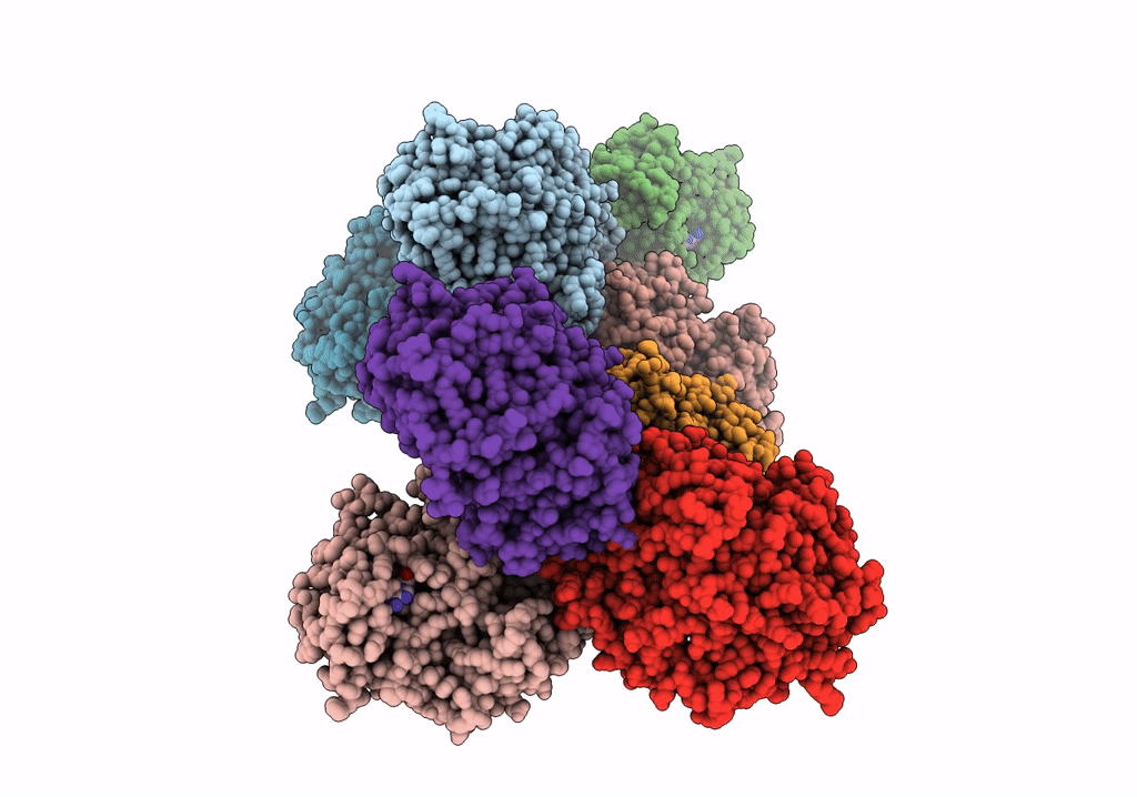 7XQA image