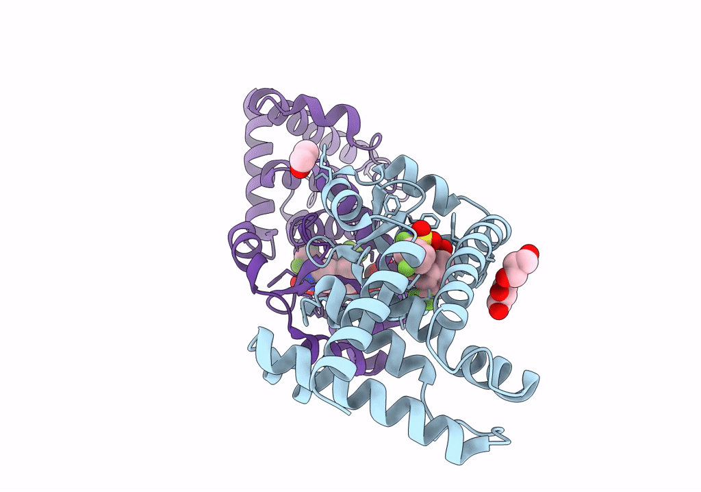 7XQE image
