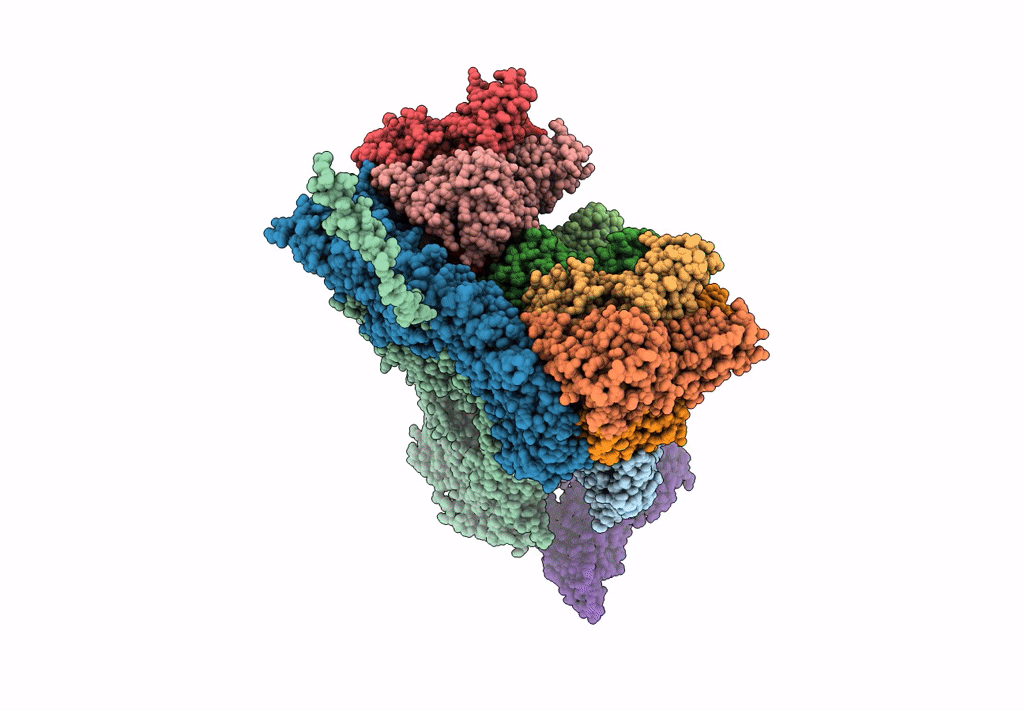 7XR2 image
