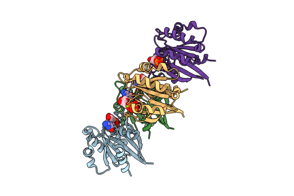 7XRD image