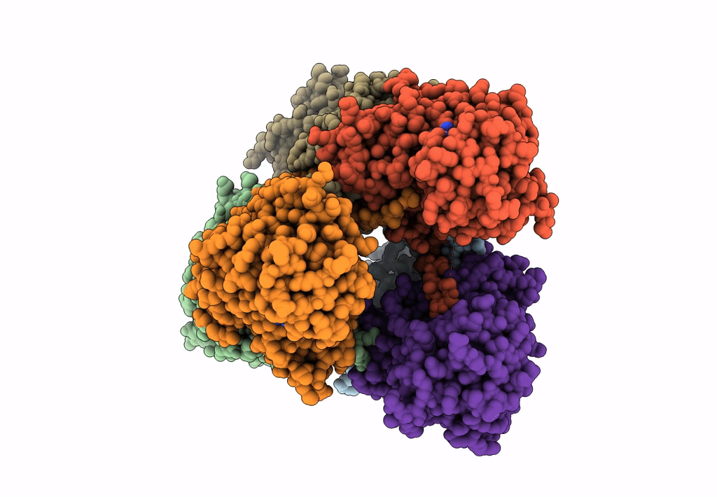 7XRE image