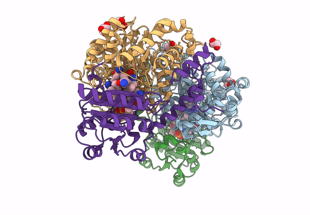 7XRN image