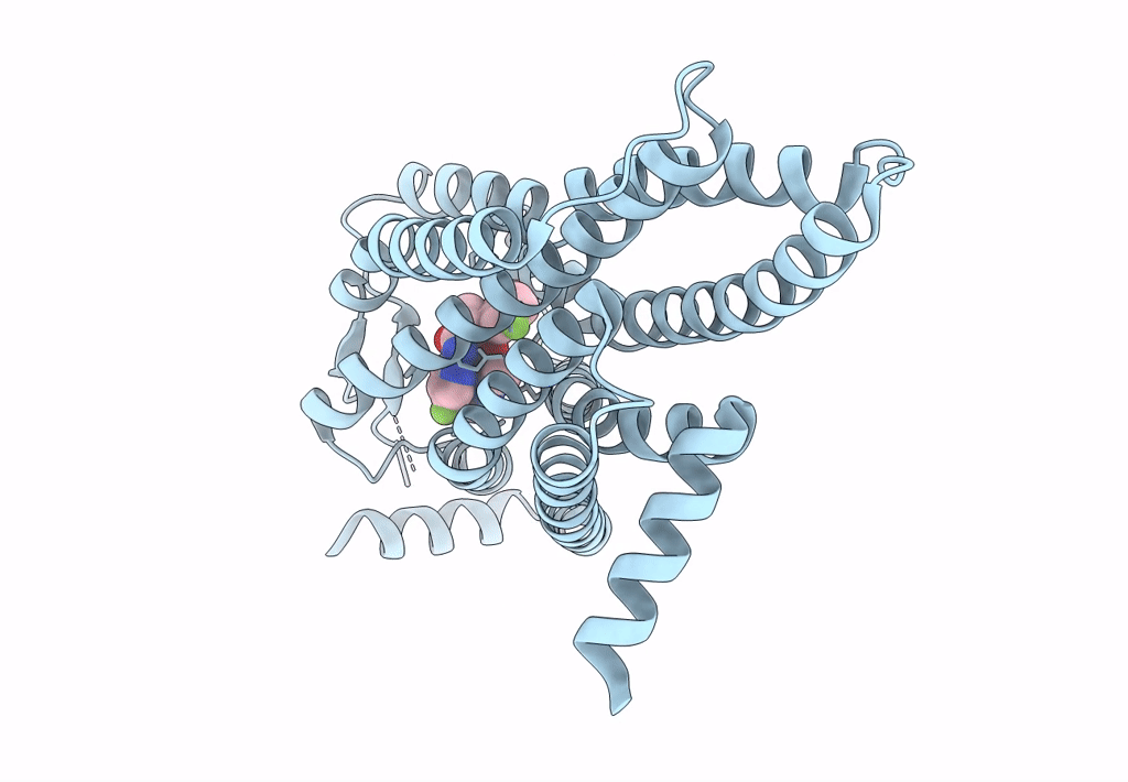 7XRR image