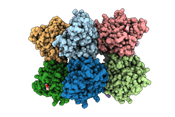 7XRT image