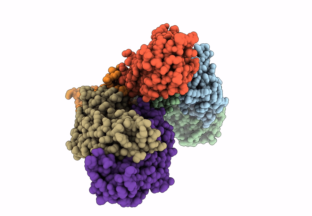 7XSC image