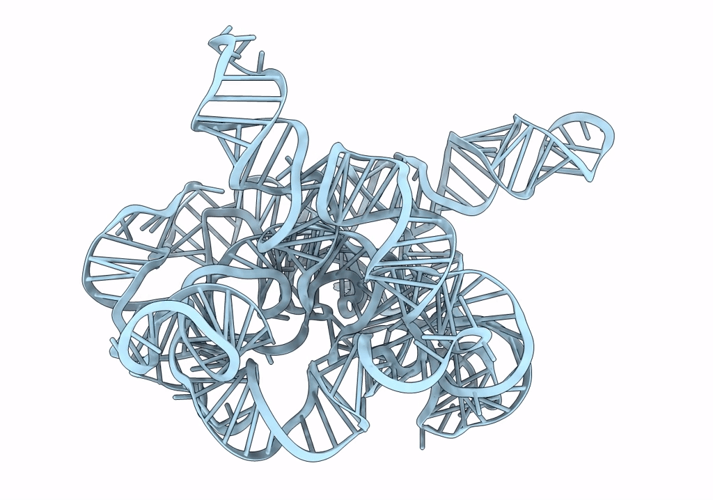 7XSN image