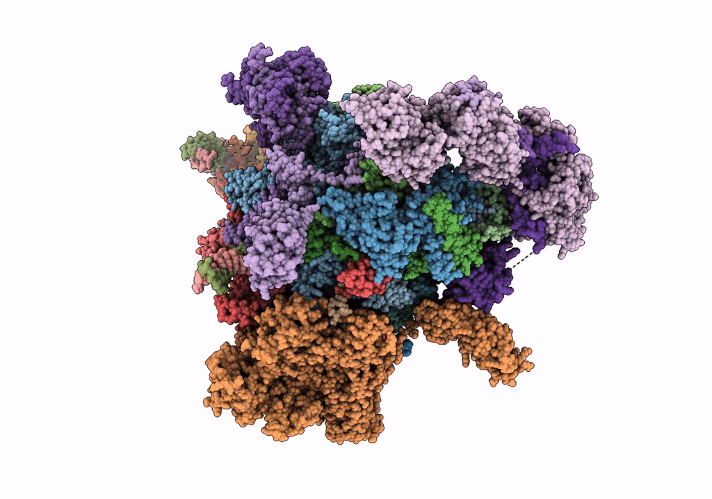7XSX image