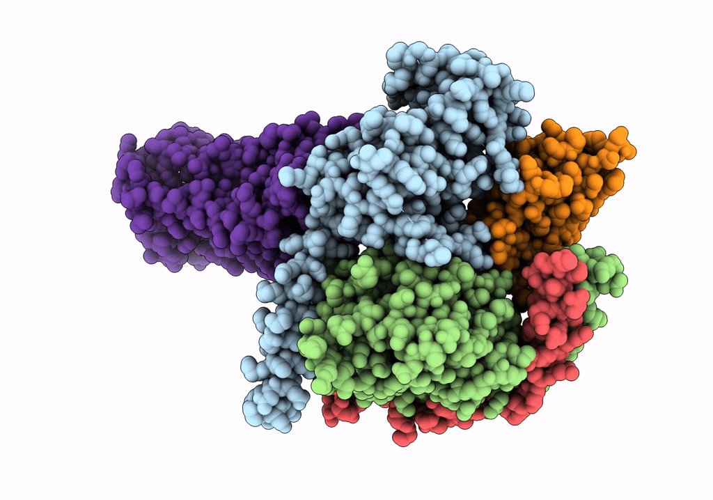 7XTB image