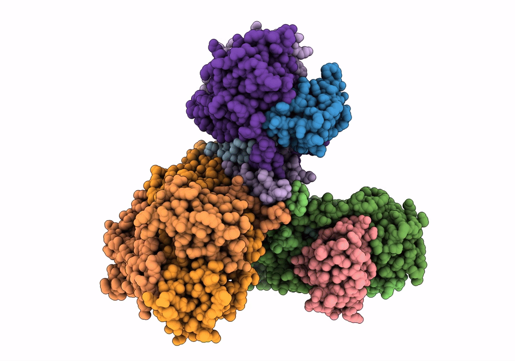 7XTG image