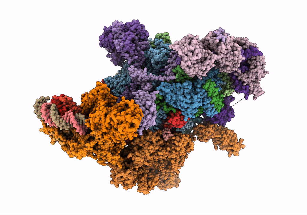 7XTI image