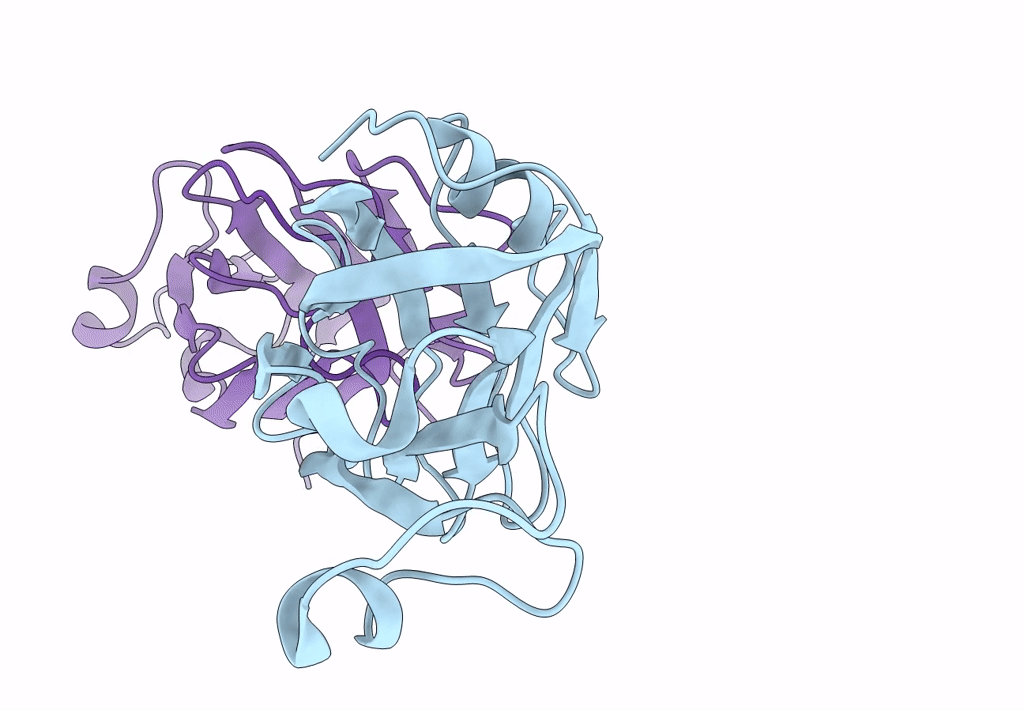 7XTL image