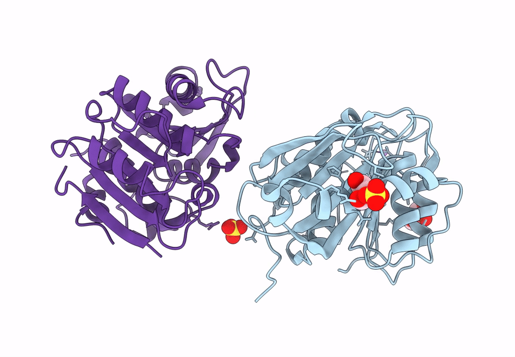 7XTR image