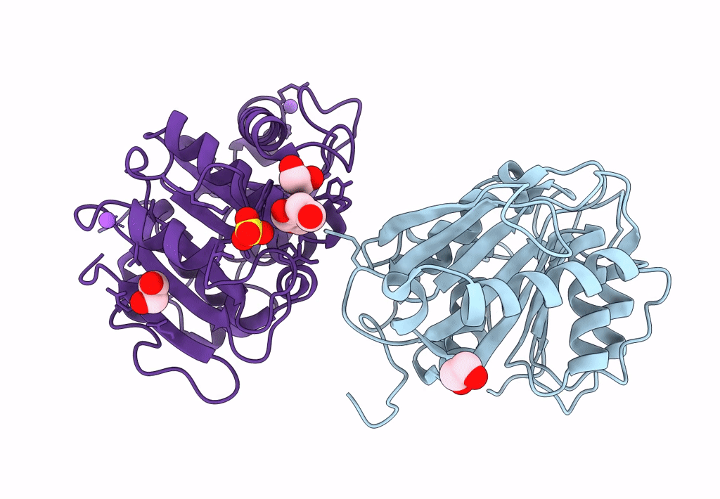 7XTT image