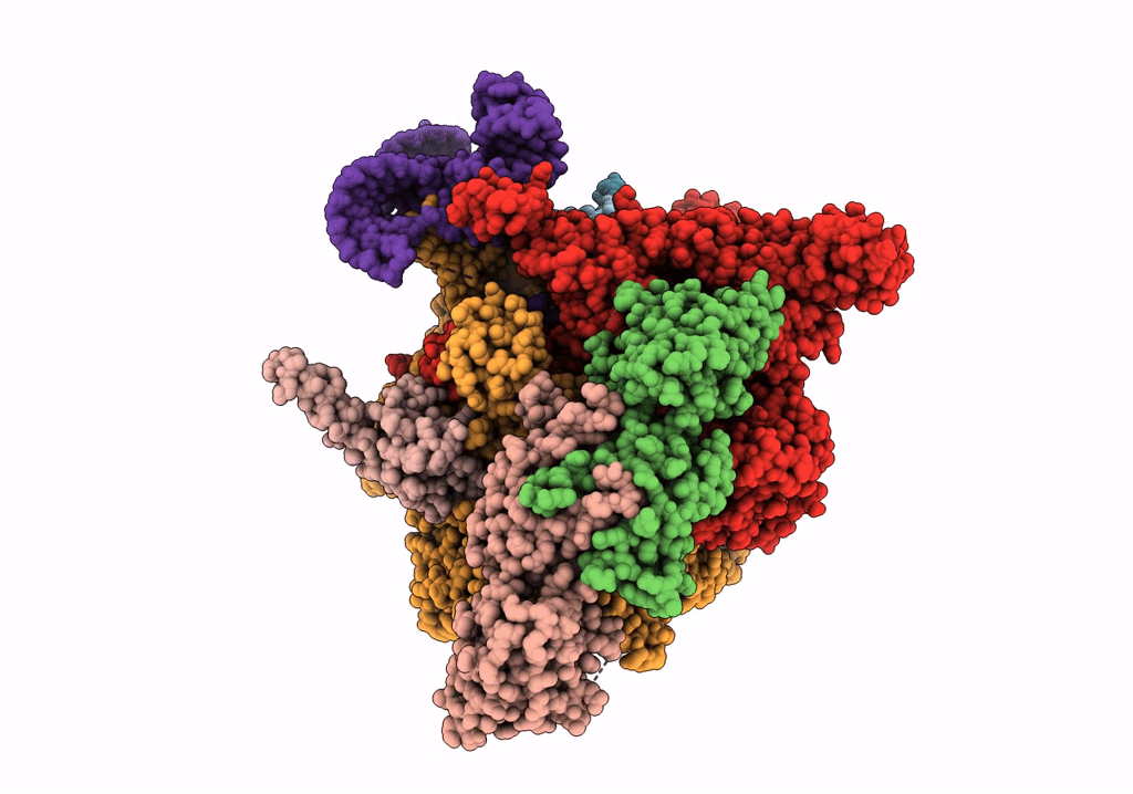 7XUE image