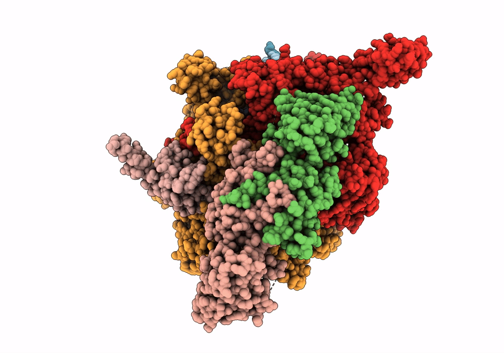 7XUG image