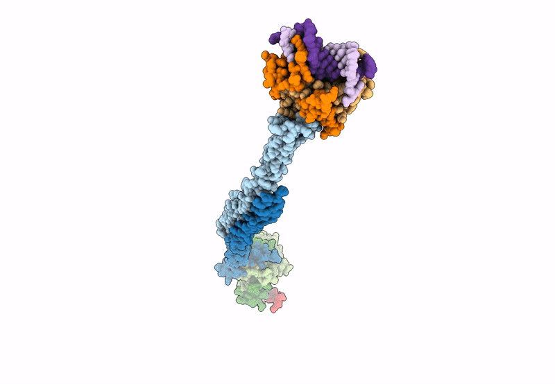 7XUZ image