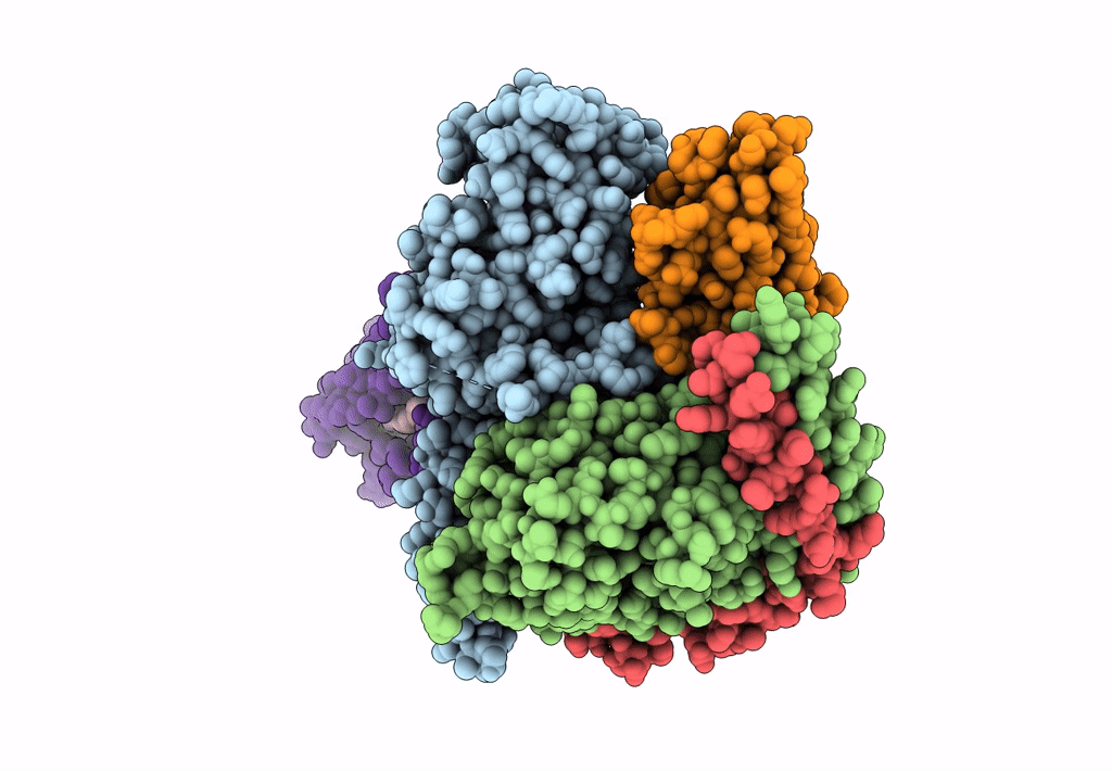 7XV3 image