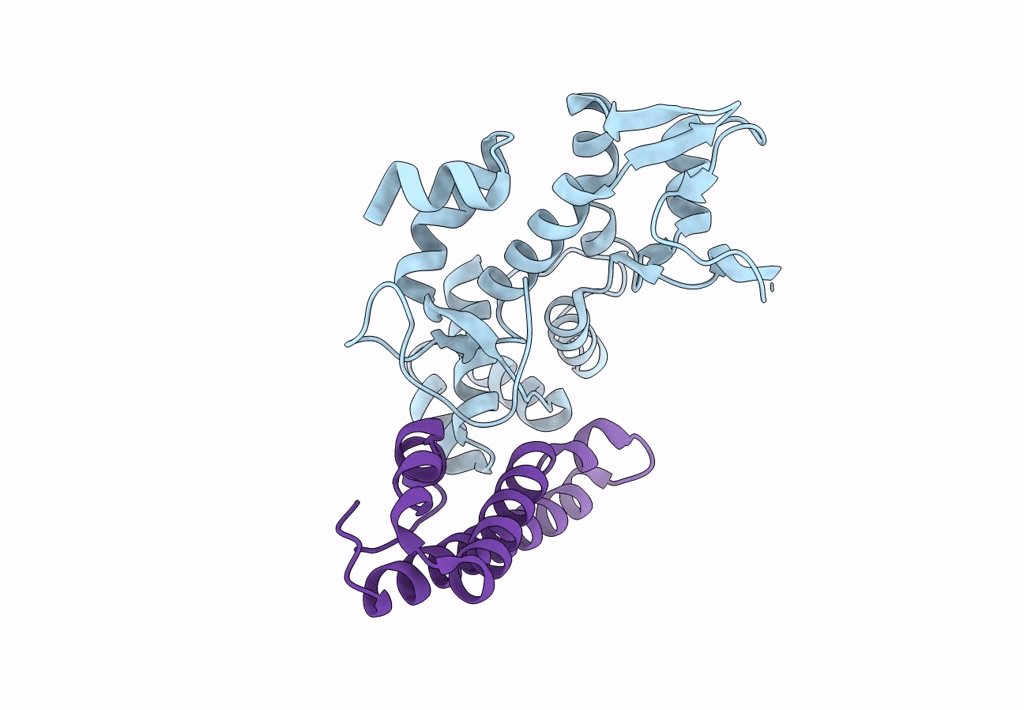 7XVO image