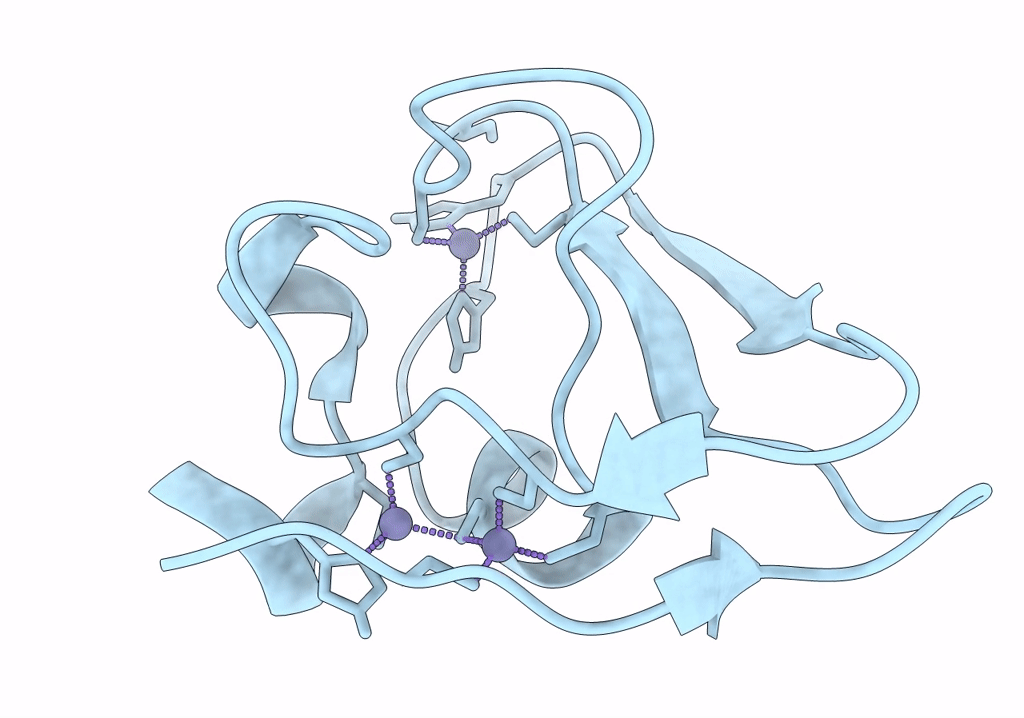 7XWD image