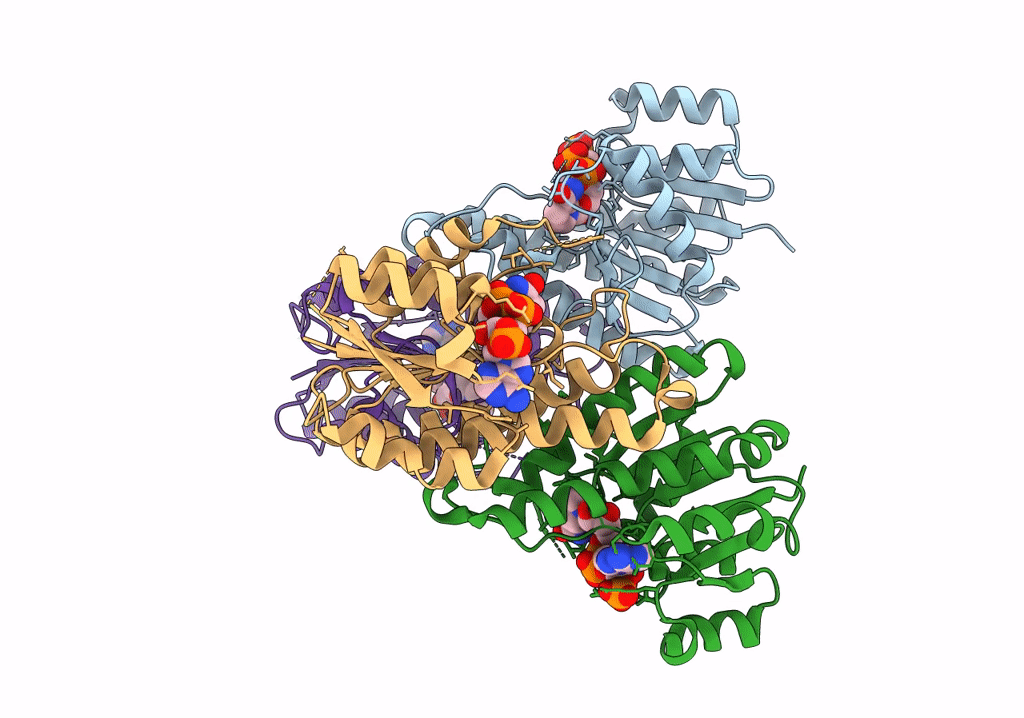 7XWJ image