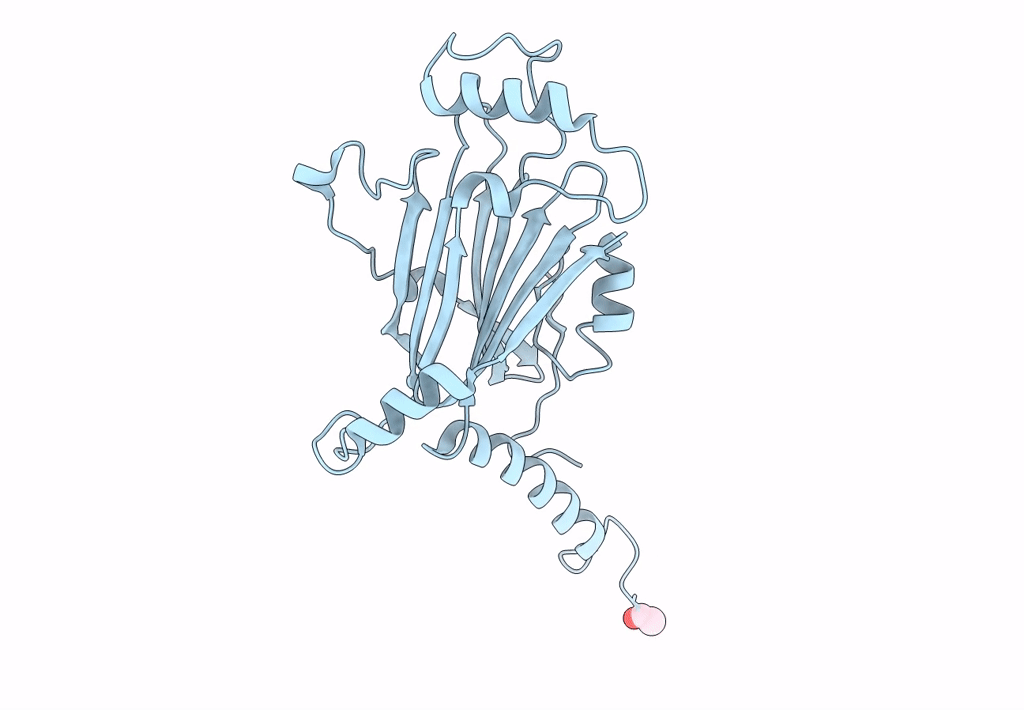 7XWS image