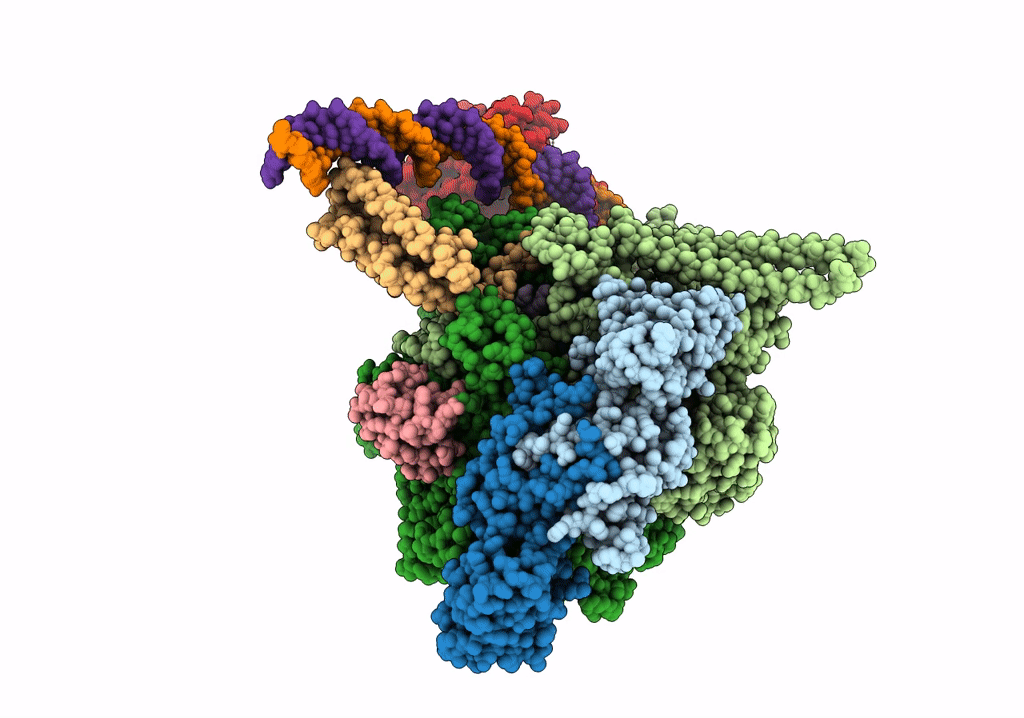7XYA image