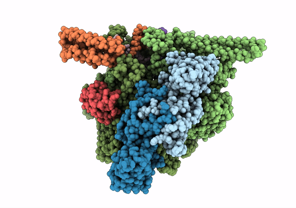 7XYB image