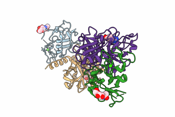 7XYD image