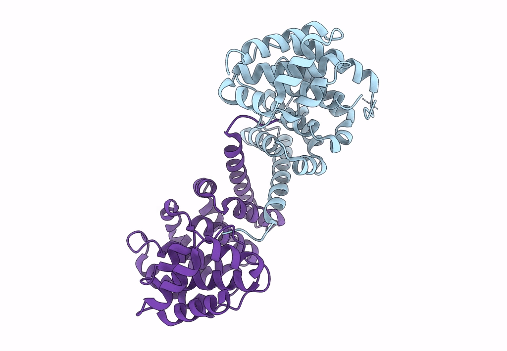 7XYV image