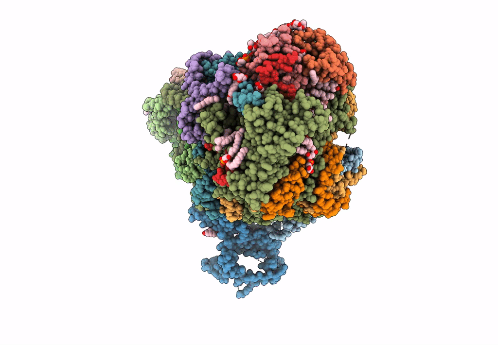 7XZI image