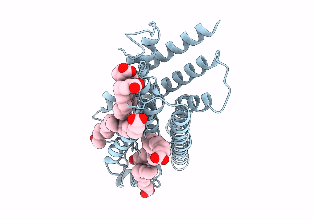 7Y13 image
