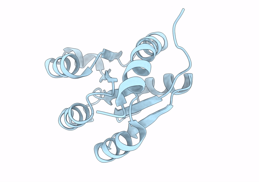7Y19 image