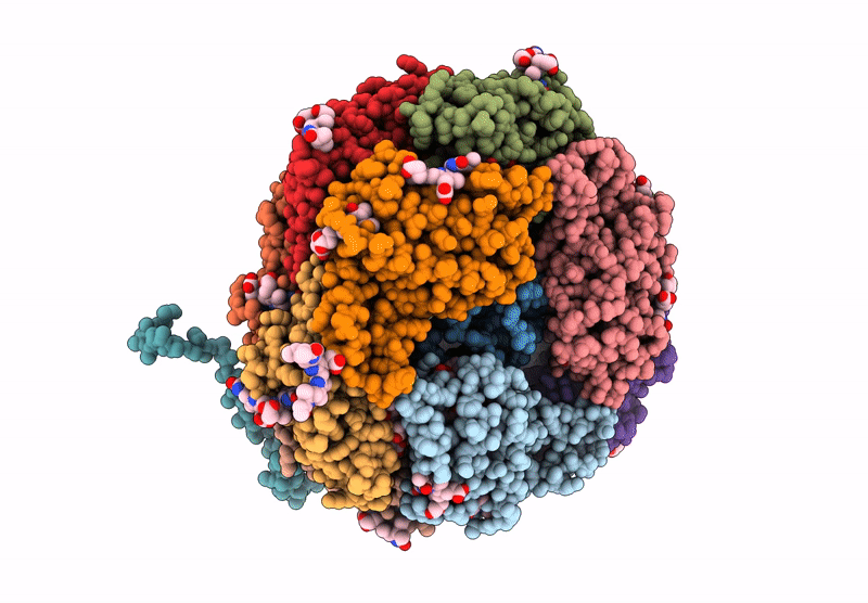 7Y1A image