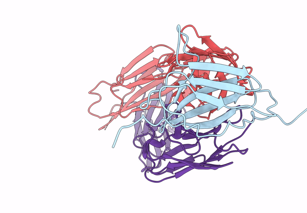 7Y1B image
