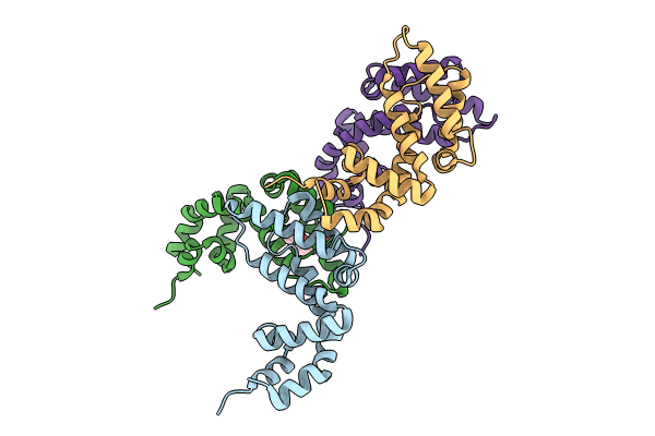 7Y1P image