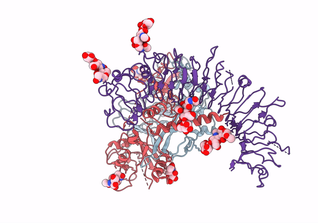 7Y1R image