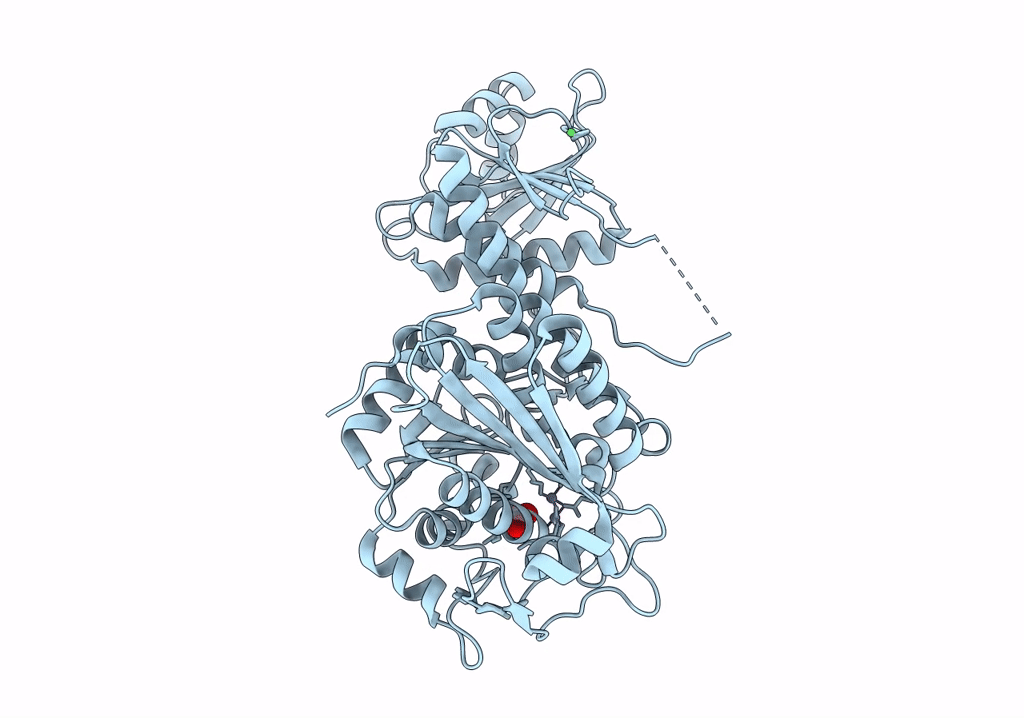 7Y1S image