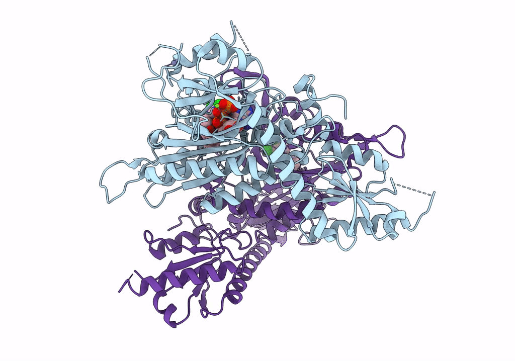 7Y1W image