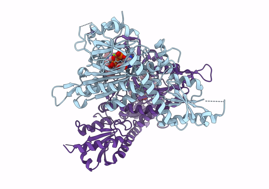 7Y28 image