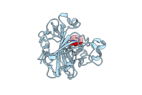 7Y2A image