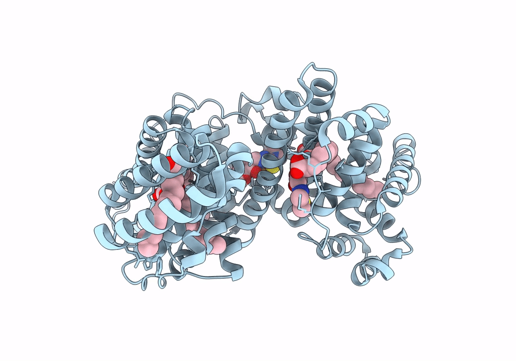 7Y2D image