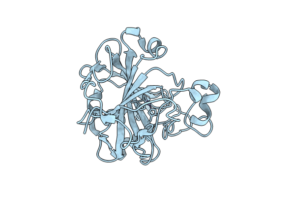 7Y2I image