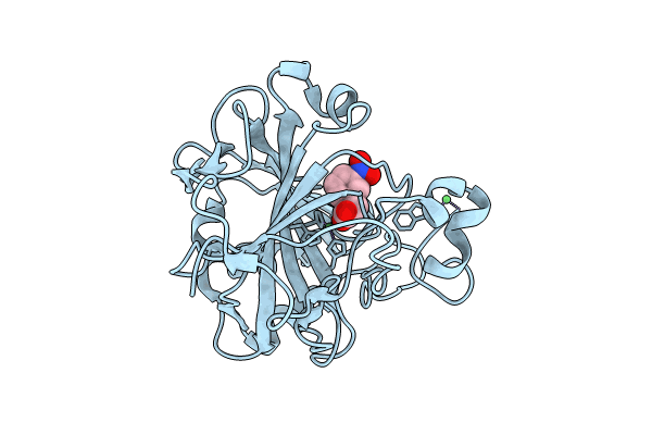 7Y2W image