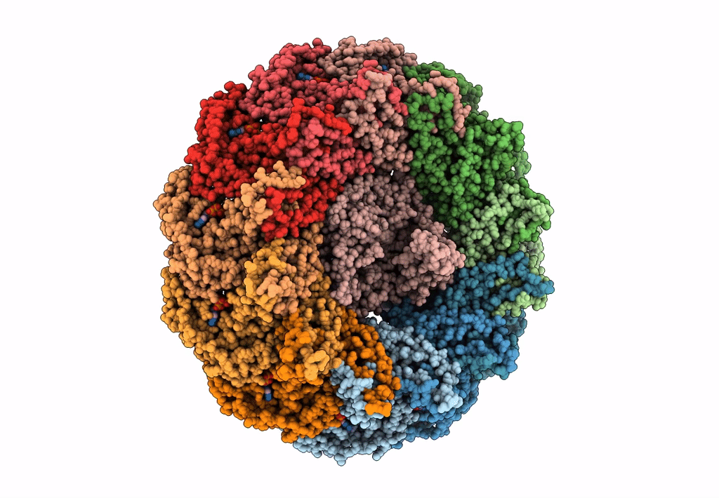 7Y38 image