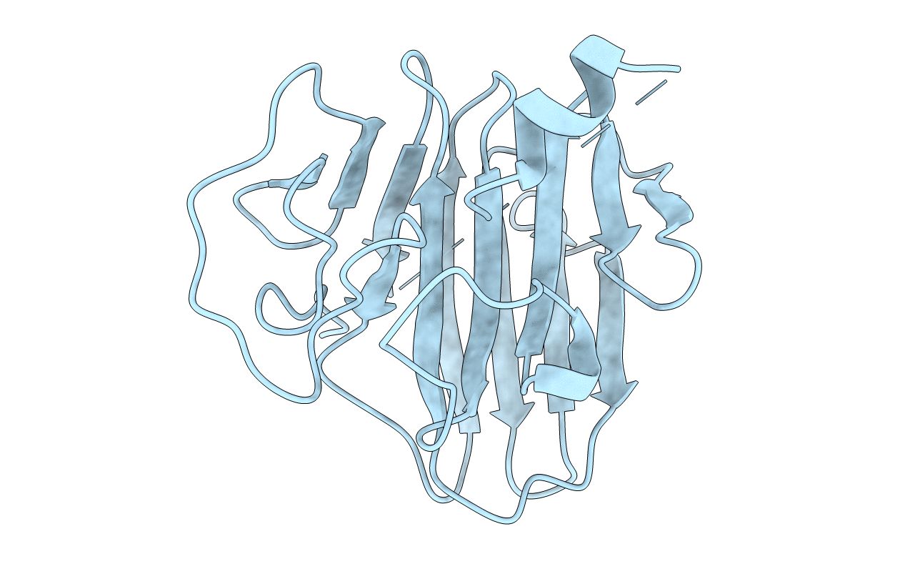7Y3C image
