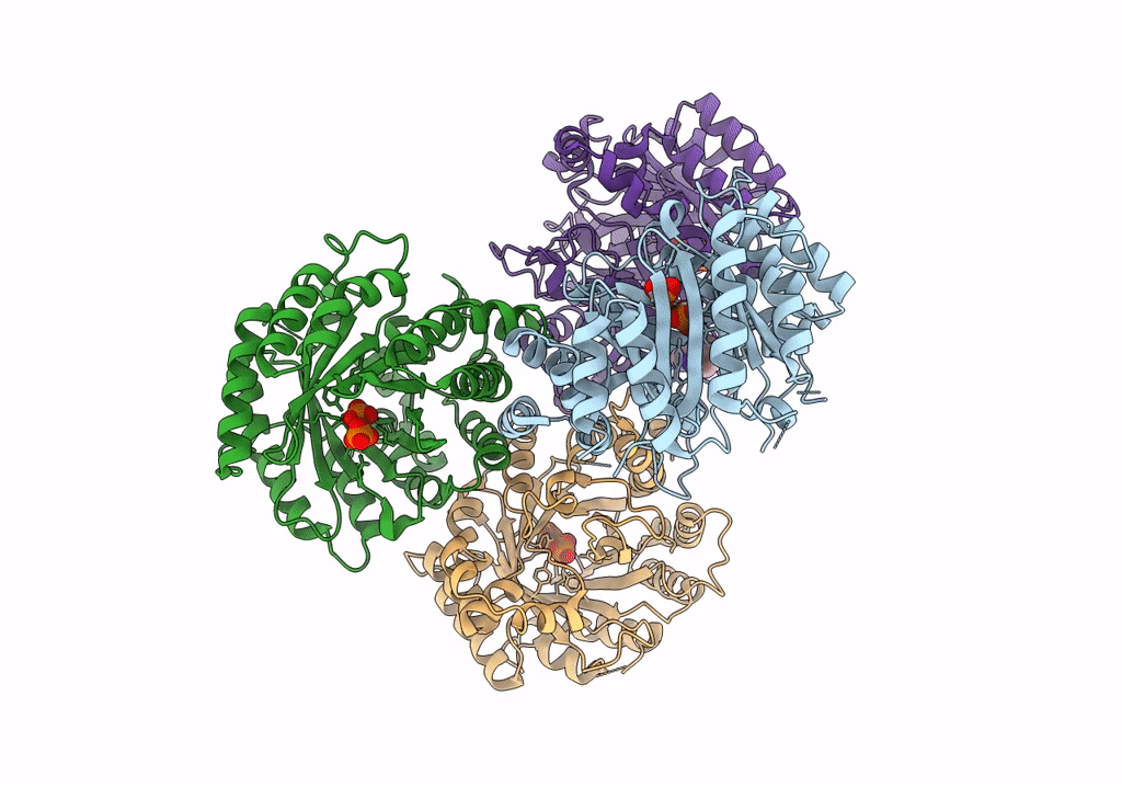 7Y3V image