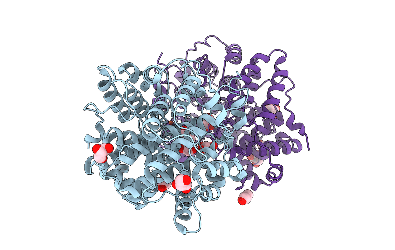 7Y3W image