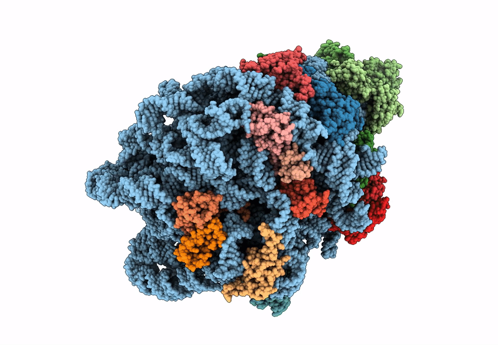7Y41 image