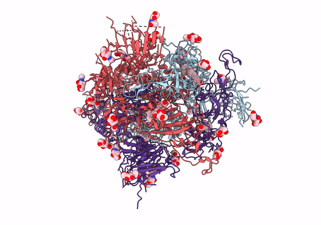 7Y42 image